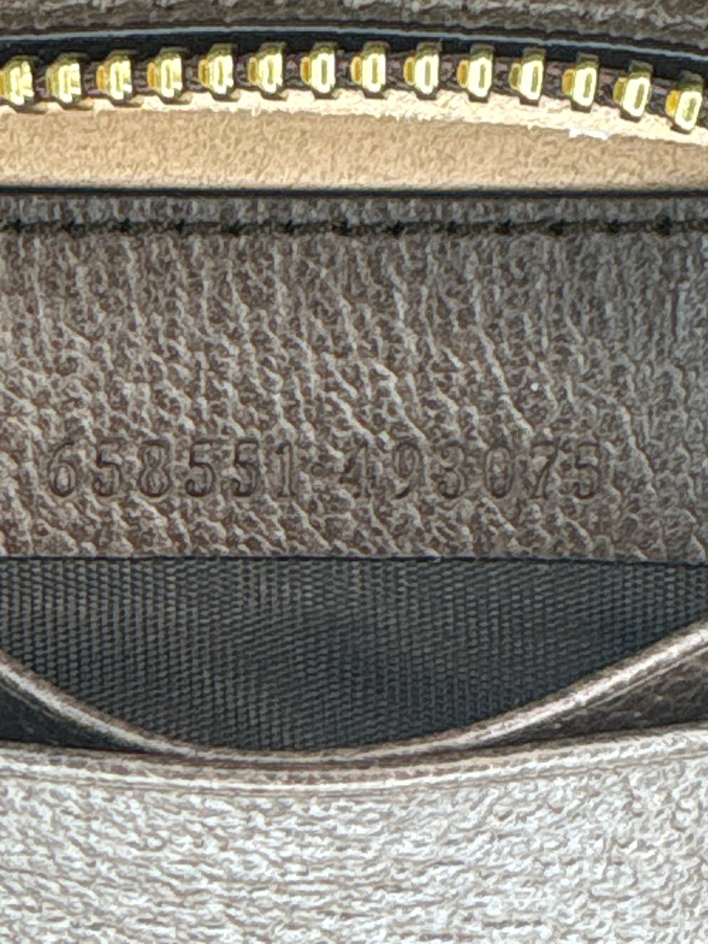 Ophidia GG Supreme Mini Bag