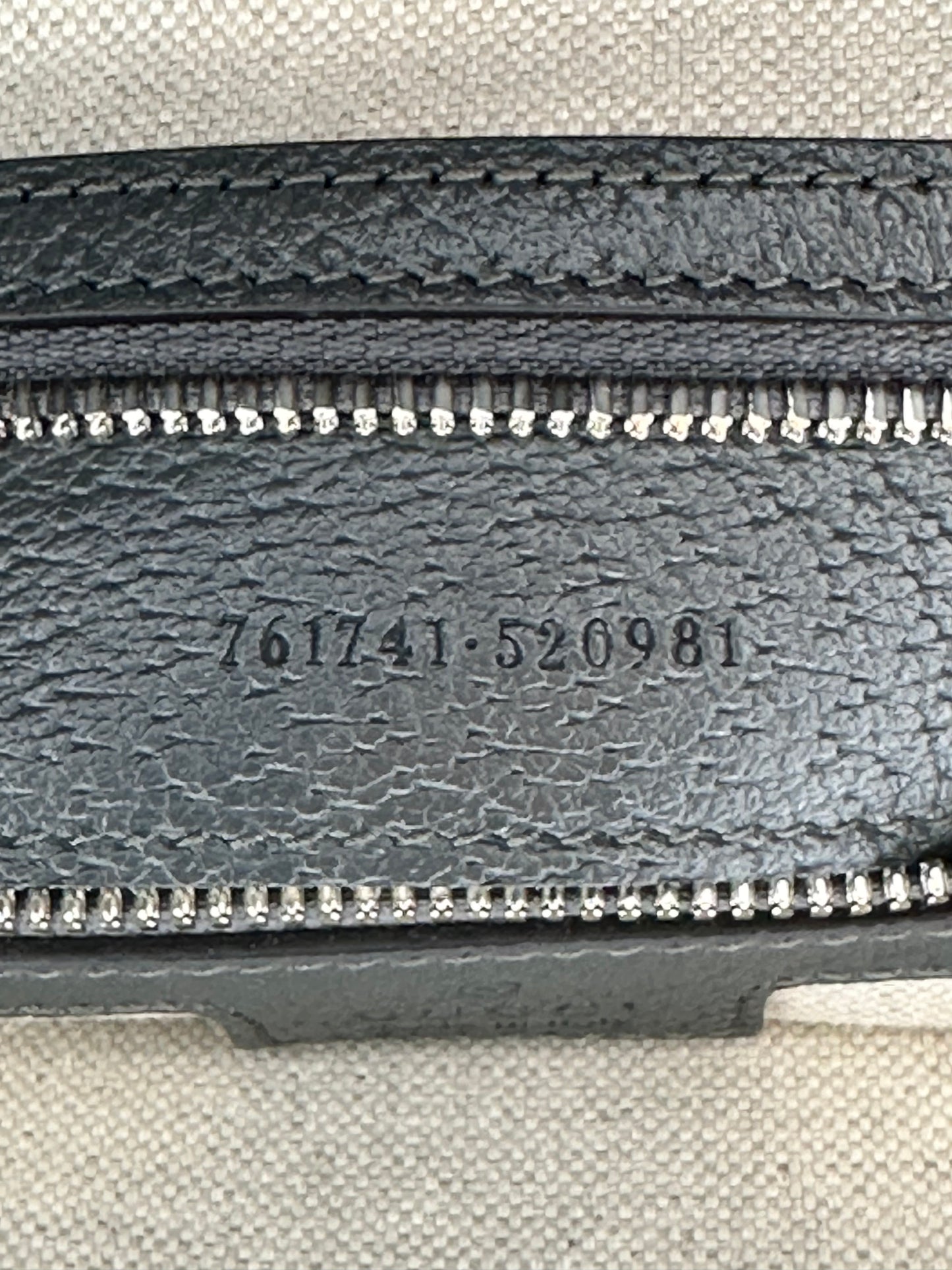 Ophidia Messenger Bag