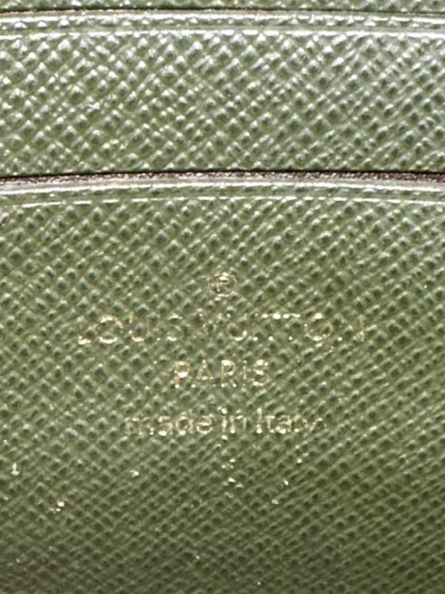 Monogram Felicie Strap and Go