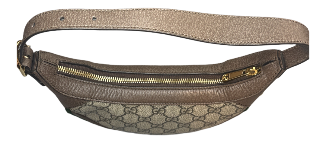 Ophidia GG Supreme Mini Bag
