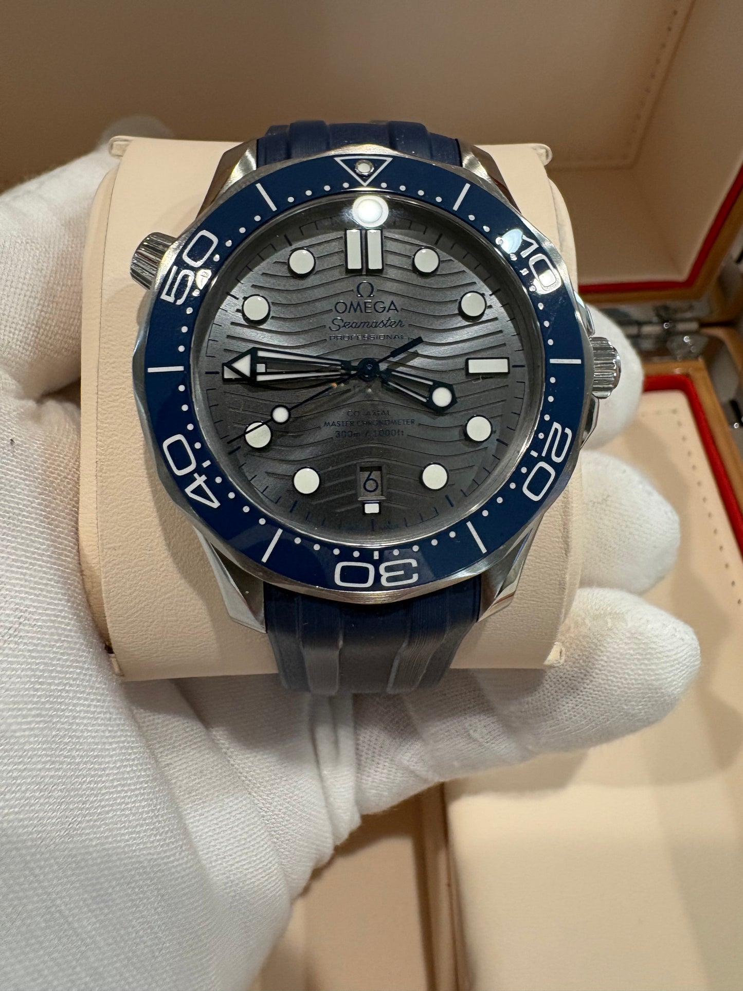Seamaster Professional Diver 300M