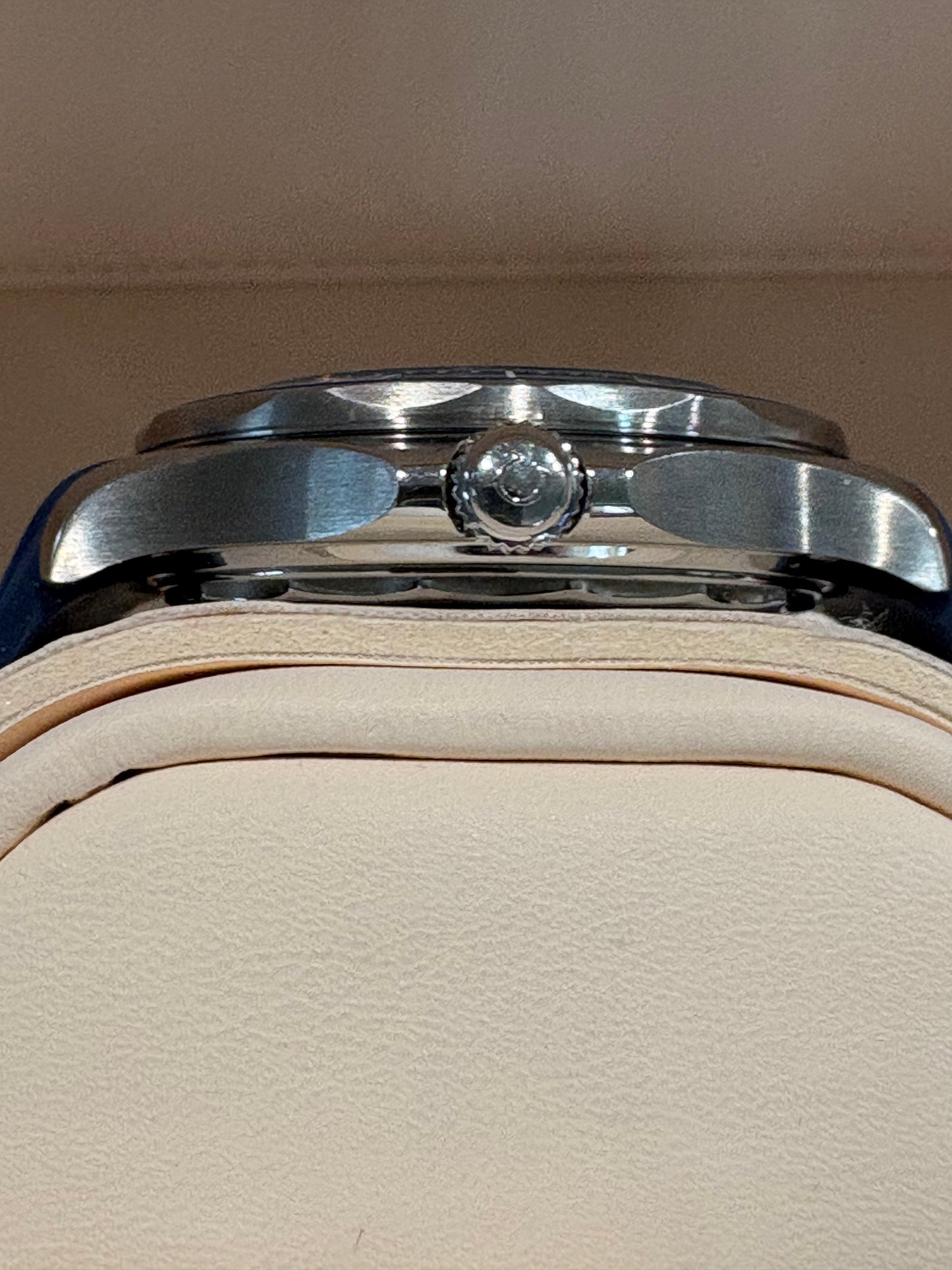 Seamaster Professional Diver 300M